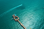 大海