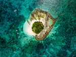 大海