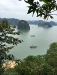 大海
