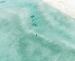 大海
