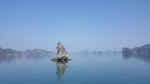 大海