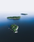 大海