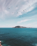 大海