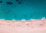 大海
