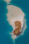 大海