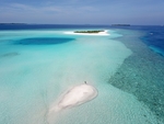 大海