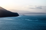 大海