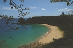 大海