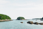 大海