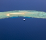 大海