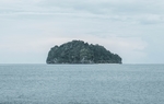 大海