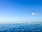 大海