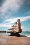 大海