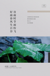 谷雨海报