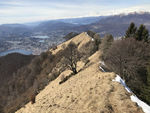 阿尔卑斯山