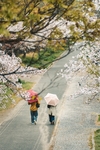 街景