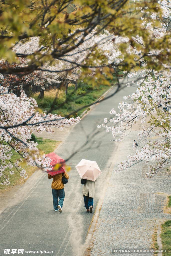 街景