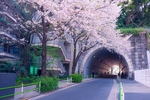 隧道