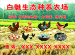 生态种养农庄