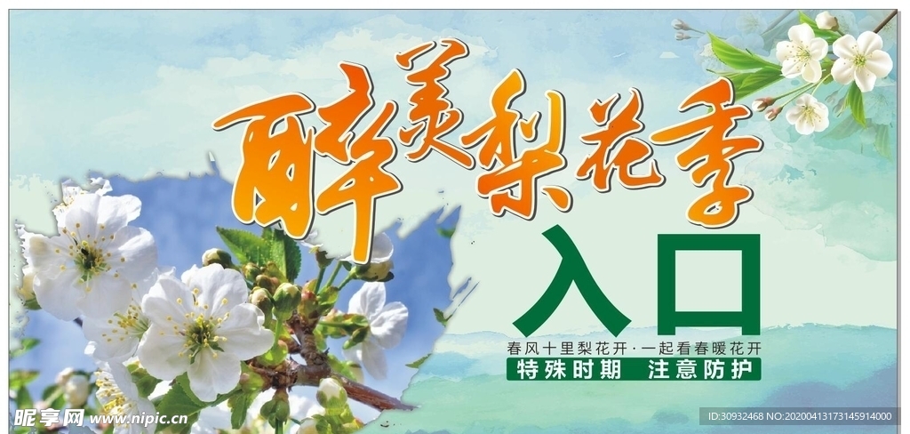 梨花节