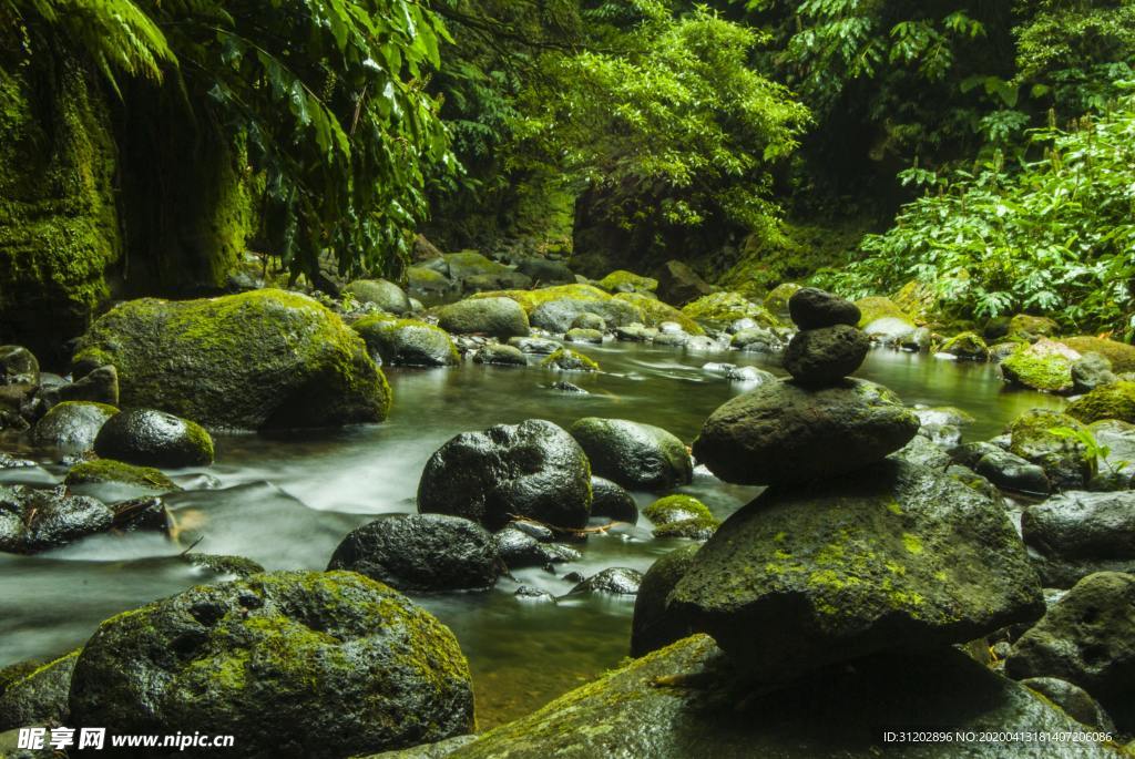 小溪 岩石 青苔 苔藓 森林