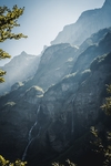 远山森林