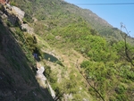 山