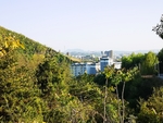 山城