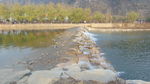 大连西山湖公园