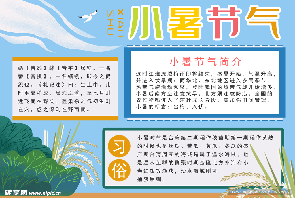 小暑海报