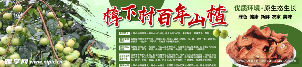 百年山楂海报
