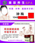 美容养生名片