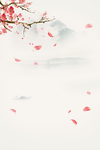 花瓣背景