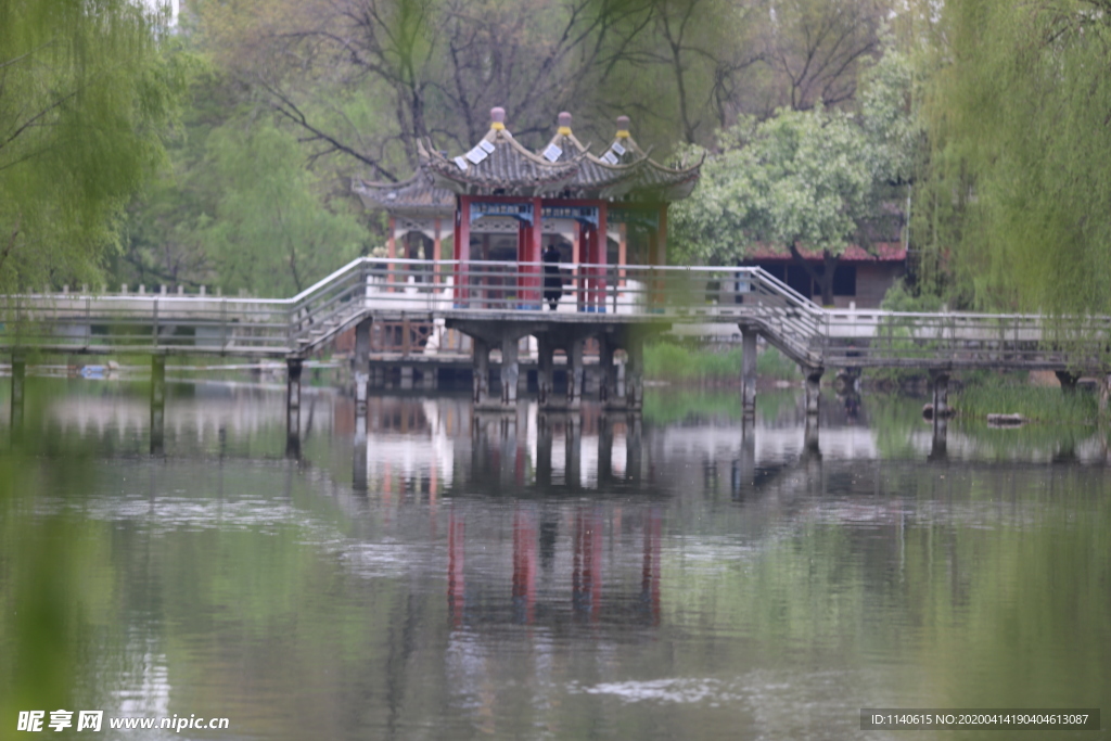 春天  公园  亭子  湖