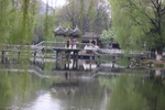 春天  公园