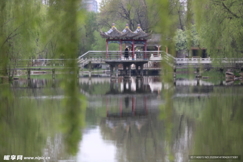 春天  公园  花开  百花齐