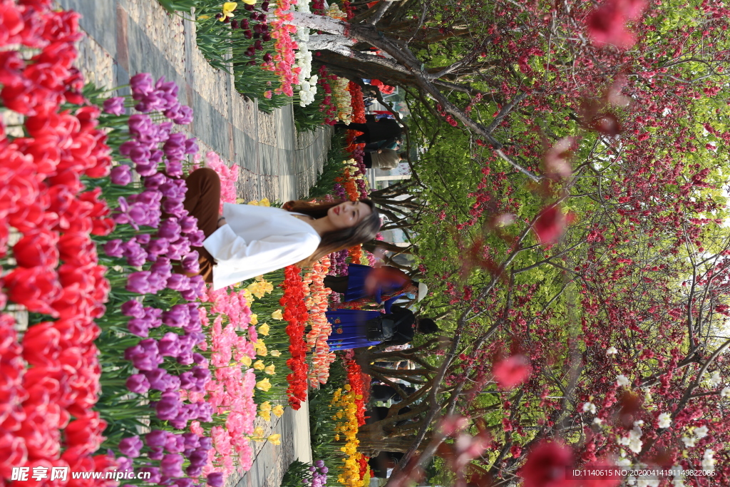 春天  花开  百花齐放  公