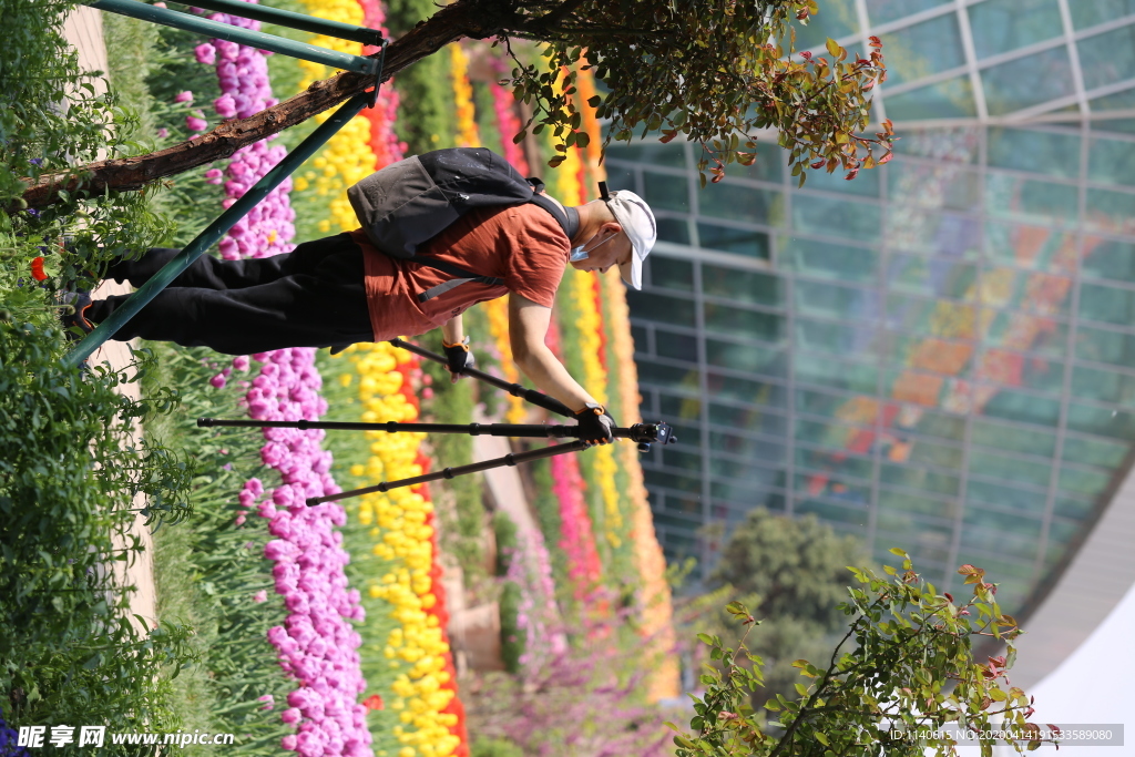 春天  花开  百花齐放  公