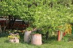 春天  花开  百花齐放  公