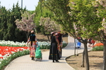 春天  百花齐放  花开  百