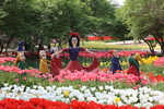 春天  百花齐放  花开  百