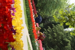 花  花草  春天  百花争艳