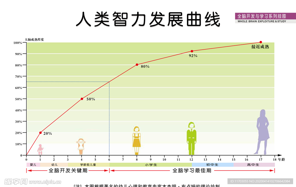 人类智力发展曲线