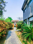 小院