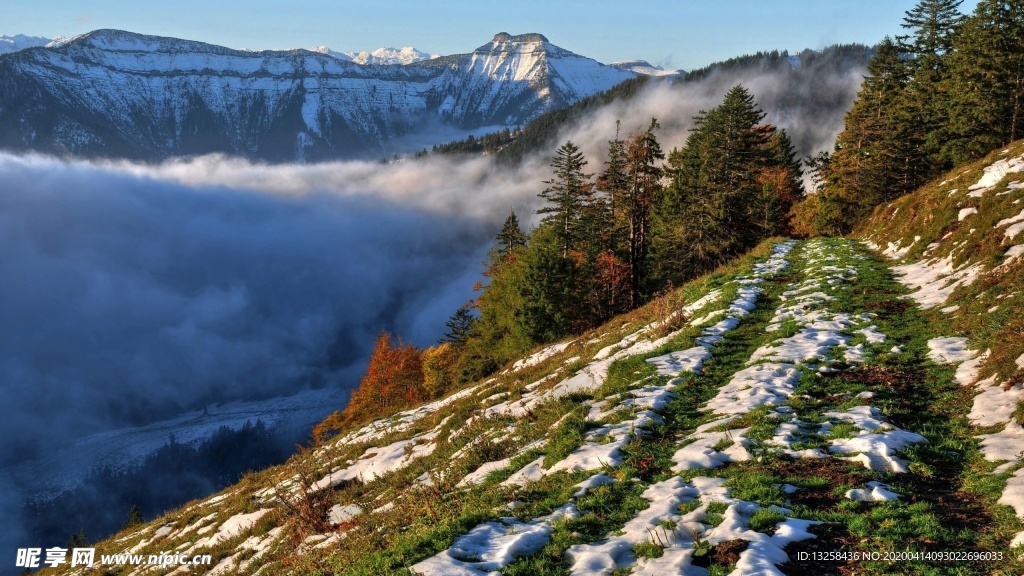 群山草地森林天空风景