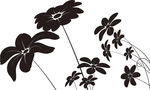 花卉