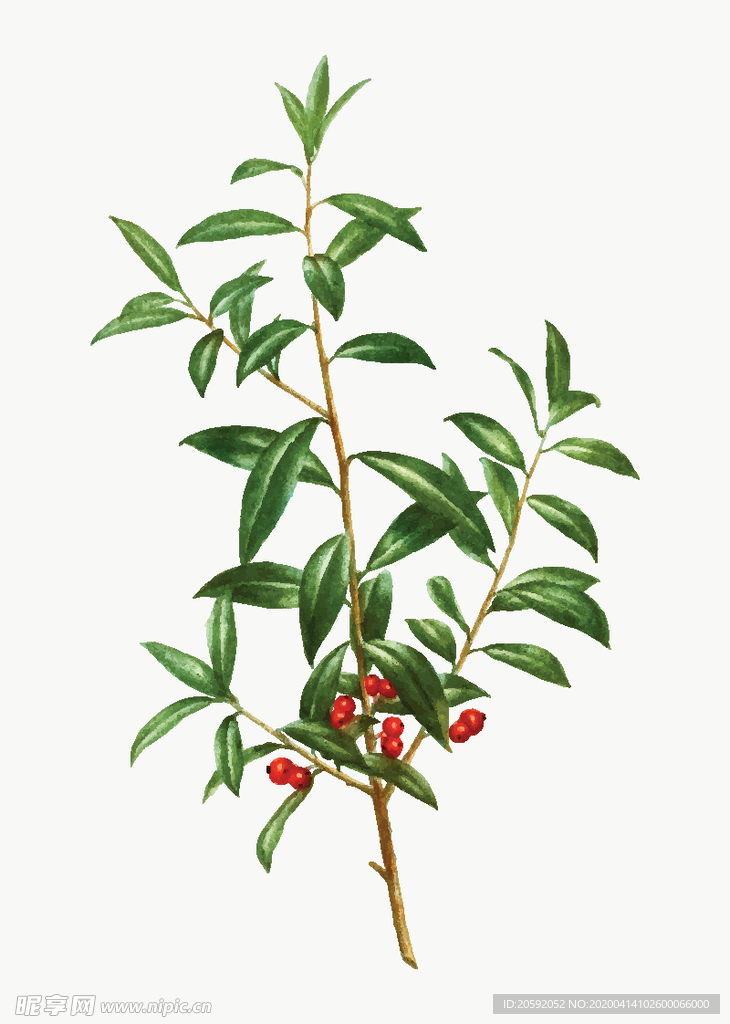 花纹
