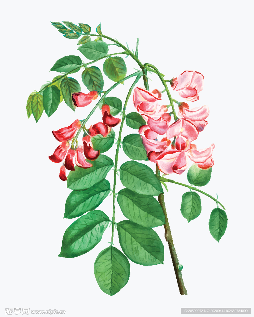 花纹