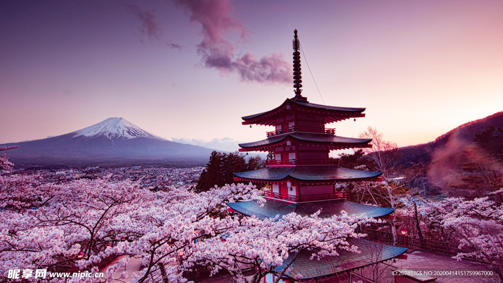 樱花富士山