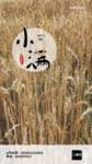 小满海报